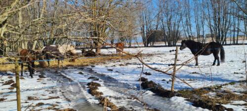 331113080_909557956906007_3968353140240086169_n